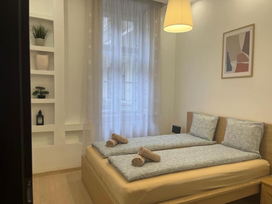 Szechenyi Renovated 2Br At Danube River Будапеща Екстериор снимка