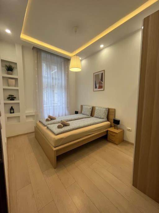 Szechenyi Renovated 2Br At Danube River Будапеща Екстериор снимка